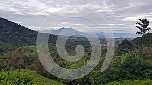 Bogor of puncak cisarua bogor indonesia