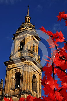 Bogota Cathedral Spire photo