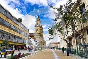 Bogota Cathedral View