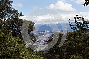 Bogota landscape viewed through a high trees with blue sky and mountains