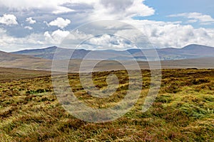 Bogs with mountains in background in Sally gap