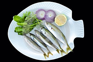 Bogue fish also known as Boops boops with rockets leaves served on white plate