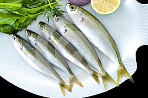 Bogue fish also known as Boops boops with rockets leaves served on white plate photo