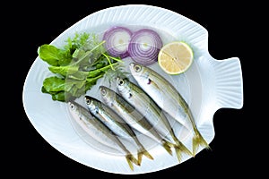 Bogue fish also known as Boops boops with rockets leaves served on white plate photo