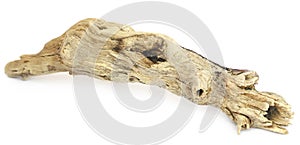 Bogwood