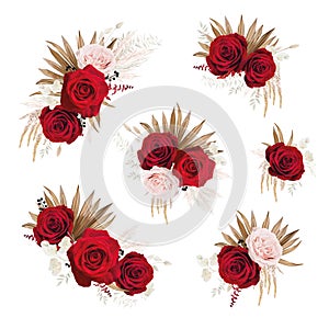 Bohemian, floral bouquet with red roses, pampas grass. Beautiful watercolor style elegant flowers, dry palm leaves editable vector