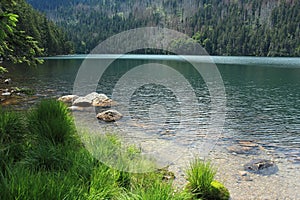 Bohemian Forest - Cerne Jezero photo