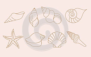 Bohemian linear logos, icons and symbols, sea, ocean, beach and surfing. Sun, seashell and palm design templates