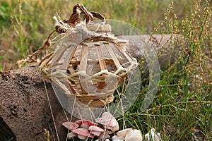 Countryside, Rural Craftsmanship. Handmade Wind Chime Decoration. Summer Sea Shells, Strings, Cords and Wild Flowers Art, Culture.