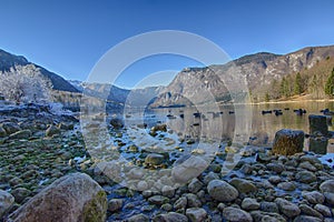 Bohinj lake