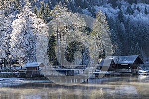 Bohinj lake