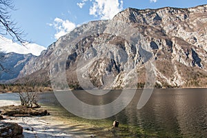 Bohinj Lake