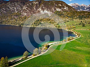 Bohinj lake aerial view of vibrant nature,Slovenia