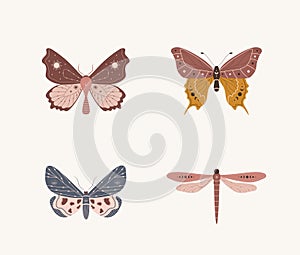 Boho butterfly collection. Set of insects with celestial elements. Alchemy esoteric symbols. Abstract hand drawn moths