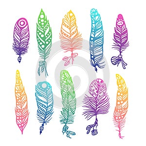Boho feather hand drawn effect vector style illustration