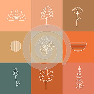 Boho floral logos collection. Sun and semicircle. Botanical emblem set. Flower and monstera design. Vector illustration