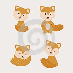 Boho fox character set. Vector illustration