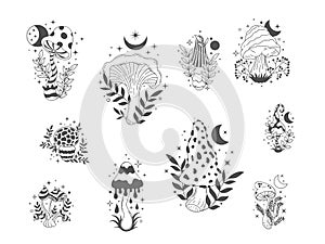 Boho mushrooms. Mystic forest toadstool and amanita, floral and celestial esoteric decorative elements. Vector fungi