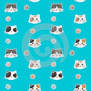 Boho seamless colorful pattern with cats and paws. Background for pet shop, veterinary clinic, pet store, zoo, shelter.