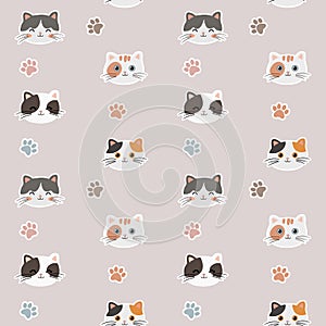 Boho seamless colorful pattern with cats and paws. Background for pet shop, veterinary clinic, pet store, zoo, shelter.