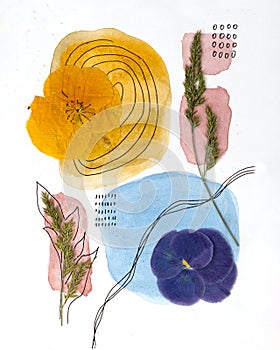 Boho style composition of dried flowers and watercolor splashes. Interior design poster idea. Contemporary botanical