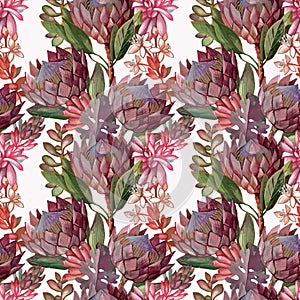 Boho style exotic seamless pattern with Proteas on a white background