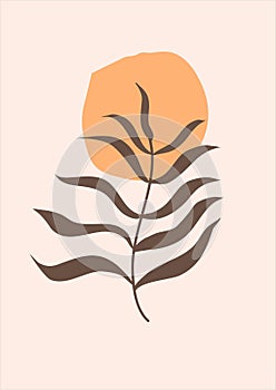 boho tropical leaf. natural shapes poster set in mid century style. Modern illustration: tropical leaf, geo elements for