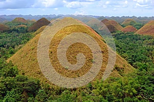 Bohol Chocolate Hills panorama