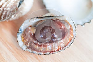 Boil Blood Cockle seafood