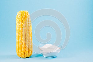 Boiled appetizing corn and salt on a blue background, vegetarian concept. Copy space