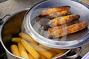 boiled and baked corn cob