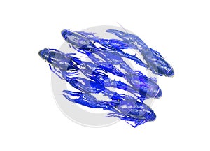 Boiled blue crawfish isolated on white