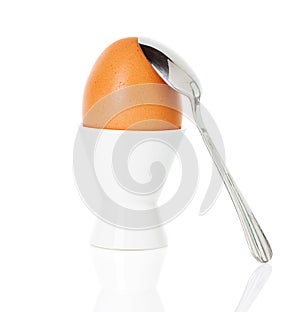 Boiled Brown egg in cup