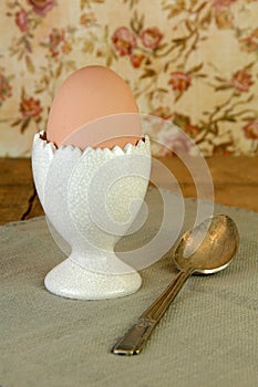 Boiled Brown Egg in Eggcup