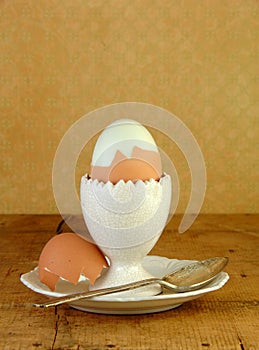 Boiled Brown Egg in Eggcup