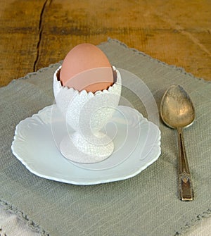 Boiled Brown Egg in Eggcup