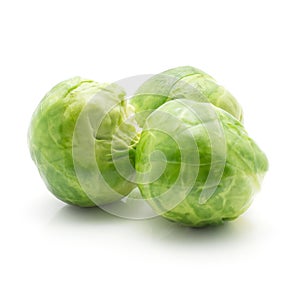 Boiled Brussels sprout isolated