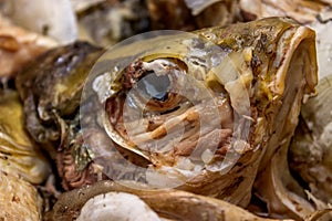 Boiled carp head