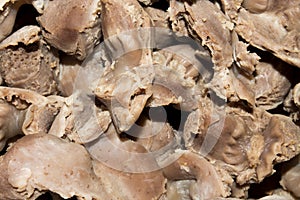 Boiled chicken stomachs. photo