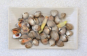 Boiled cockles on square ceramic plate on marble background