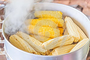 Boiled corn