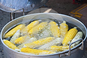 Boiled corn