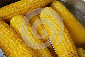 Boiled corn in a boiler