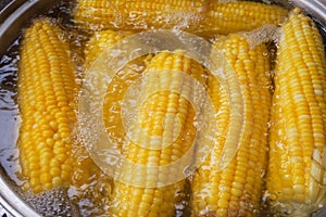 Boiled corn in a boiler