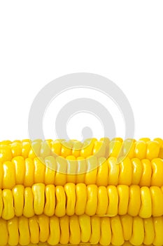 Boiled Corn on the cob