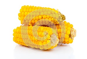 Boiled corn cob