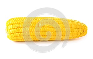 Boiled corn on the cob isolated on white background