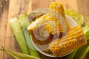 Boiled corn cob in a plate with butter, on wooden textures and green stalks of corn, tasty homemade food, for a picnic
