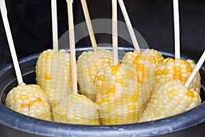 Boiled corn cob sticks