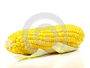 Boiled Corn Cob on white Background - Isolated